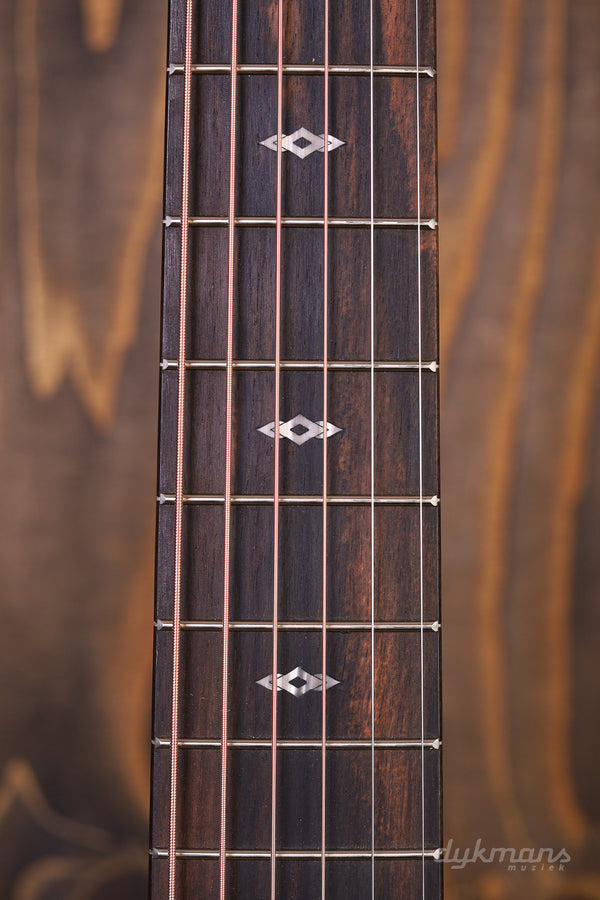 Taylor 50th Anniversary GS Mini-e Rosewood LTD 