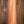 Taylor 50th Anniversary GS Mini-e Rosewood LTD 