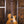 Gibson Les Paul Standard '50s Gold Top PRE-OWNED!