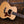 Taylor 50th Anniversary GS Mini-e Rosewood LTD 