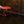 Patina PPB-3 FRD Bass Fiesta Red