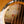 Taylor 614ce Next Generation