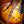 Blue Bell Johnson MD Brown Caiman