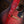 Blue Bell Johnson Cherry Caiman