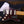 Fender American Professional Classic Stratocaster HSS Faded Black
