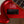 Sandberg California VM5 Soft Aged Metallic Red