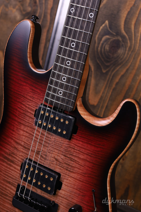 Music Man Sabre Rabea Massaad Vileblood Burst #11929
