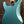 Fender American Professional Classic Precision Faded Sherwood Green