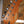 Patina PJ-6 OX Oxblood Nitro