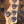Sandberg California TM5 Soft Aged Creme