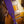 Blue Bell Monterrey Purple Haze