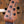 Music Man Saber Rabea Massaad Vileblood Burst PRE-ORDER!