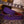 Blue Bell Monterrey Purple Haze