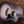 Taylor 214ce Sunset Blvd Eclipse Burst