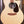 Martin GPC-X2E Cocobolo