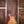 Patrick James Eggle Macon Single Cut Faded Gold Burst