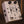 Walrus Audio Xero White