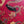 Taylor GS Mini-e Special Edition, Year of the Dragon 