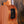 Taylor GS Mini-e Special Edition, Year of the Dragon 