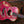 Taylor GS Mini-e Special Edition, Year of the Dragon 