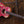 Taylor GS Mini-e Special Edition, Year of the Dragon 