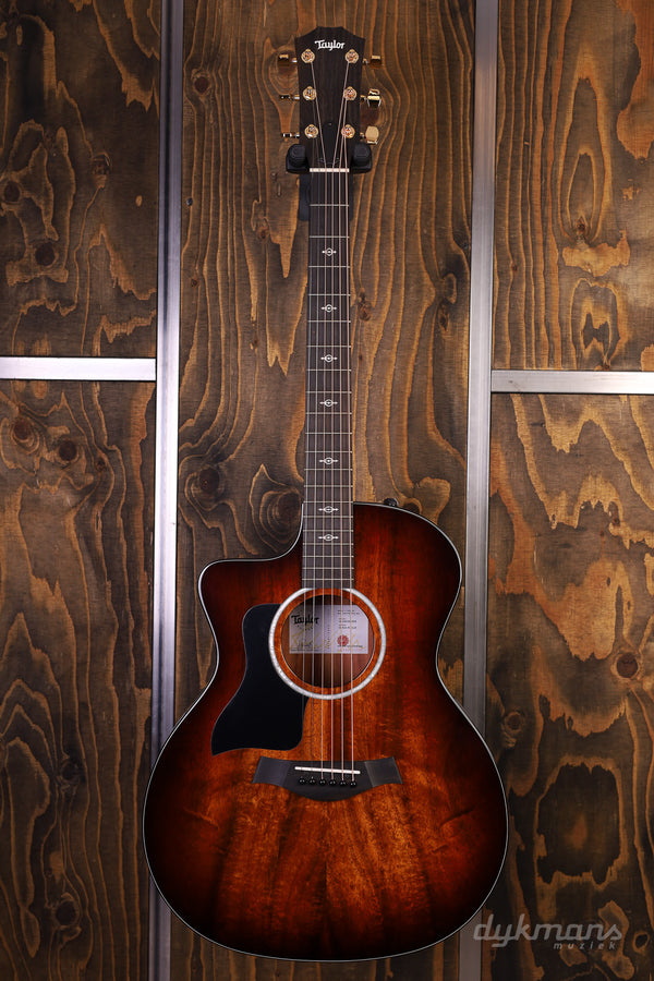 Taylor 224ce-K DLX Lefty