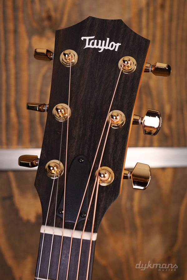Taylor 224ce-K DLX Lefty