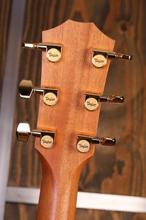 Taylor 224ce-K DLX Lefty