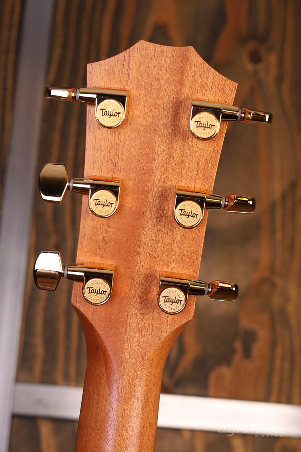 Taylor 224ce-K DLX Lefty