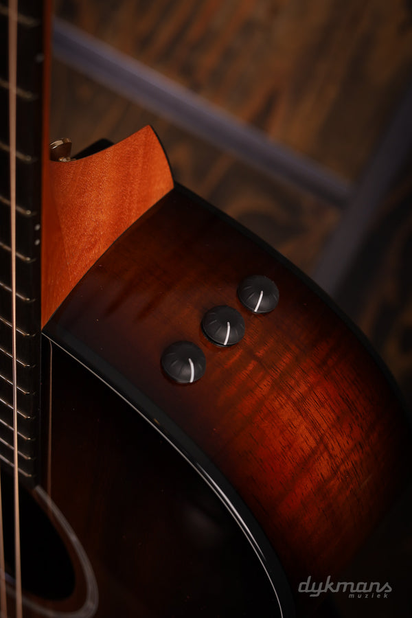 Taylor 224ce-K DLX Lefty
