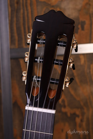 Bautista Iranzo 20 Concert