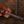Eastman L-00SS-KOA