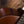 Taylor Builder's Edition 517th Grand Pacific Wild Honey Burst