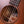 Taylor Builder's Edition 517th Grand Pacific Wild Honey Burst
