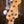 Fender Modified Player Jazz Bass 5-String