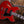 Eastman T64/vT Antique Red