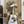 1969 Martin D-45 PRE-OWNED!