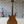 PRS McCarty 594 Private Stock Spalted Maple