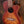 Ortega Ukulele Concert CE Earth Series