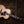Eastman AC630-BD 17