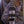 Ibanez RGT1221PBDTF Premium