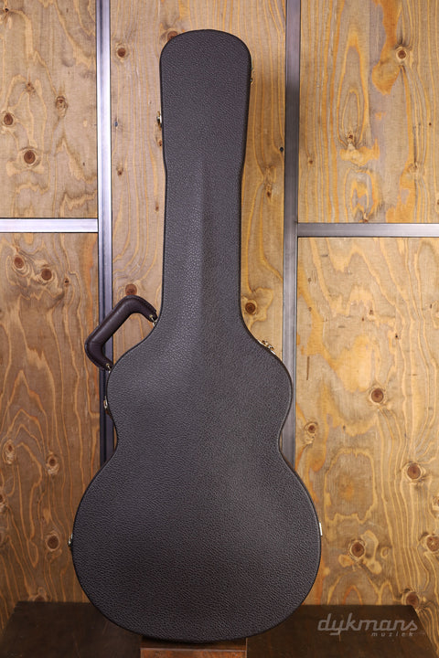 Taylor 250ce-BLK DLX