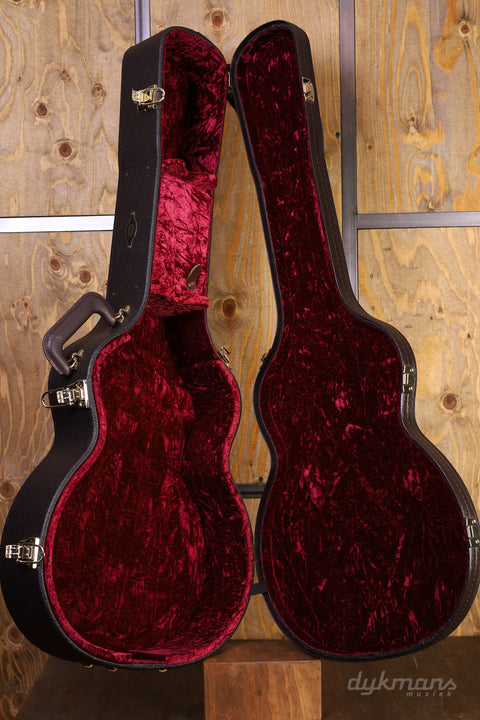 Taylor 250ce-BLK DLX