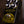 Laney Black Country Customs The Custard Factory Bass Compressor