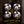 Laney Black Country Customs The Custard Factory Bass Compressor
