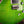 PRS Custom 24-08 Eriza Verde