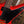 Gibson Lzzy Hale Explorerbird Cardinal Red