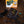 Truetone 1 SPOT Combo Pack