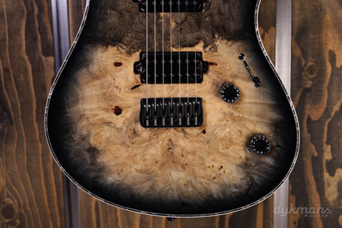 Mayones Regius 7 Buckeye Burl Trans Natural Black Burst Gloss