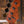 Sandberg California II TM 4 Natural